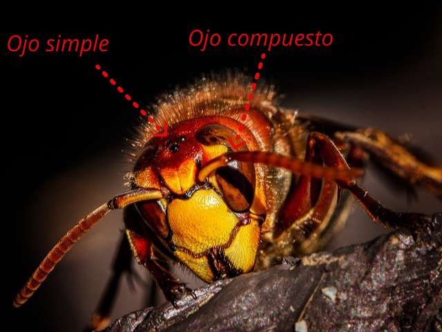 1_20210111_135836_0000.png