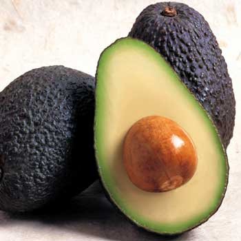 aguacateo.jpg