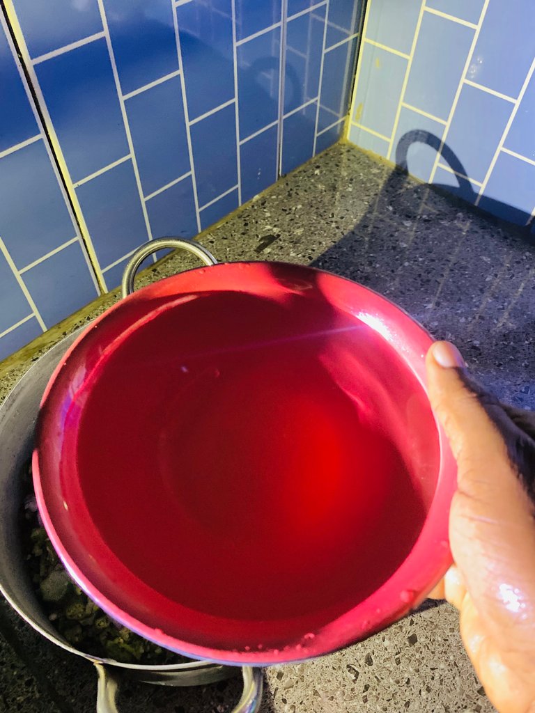 IMG_3558.jpeg