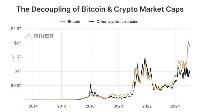 This cycle, Bitcoin is leaving "crypto" in the dust.