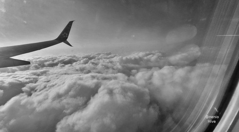 flying-012-bw.jpg