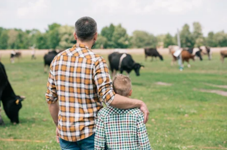 farmer and son with cows.png