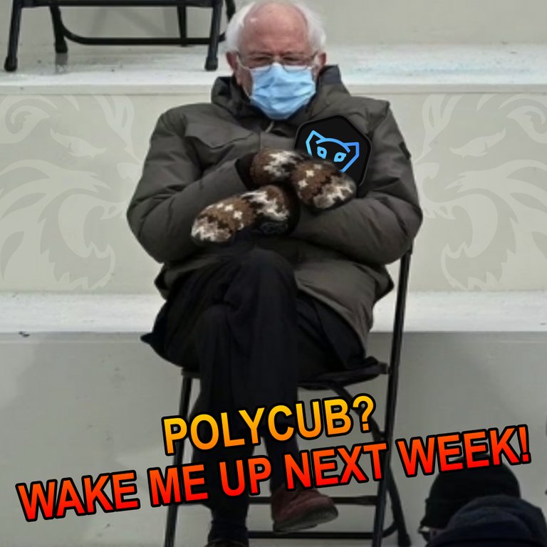 polycubBernie.jpg