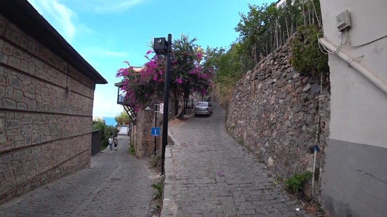 275.jpg