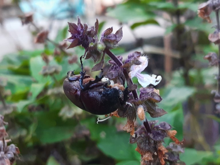 20201214_090025.jpg