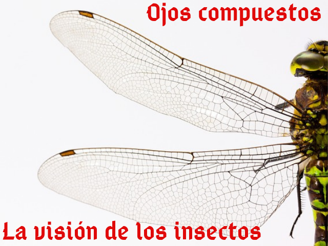 1_20210111_135418_0000.png
