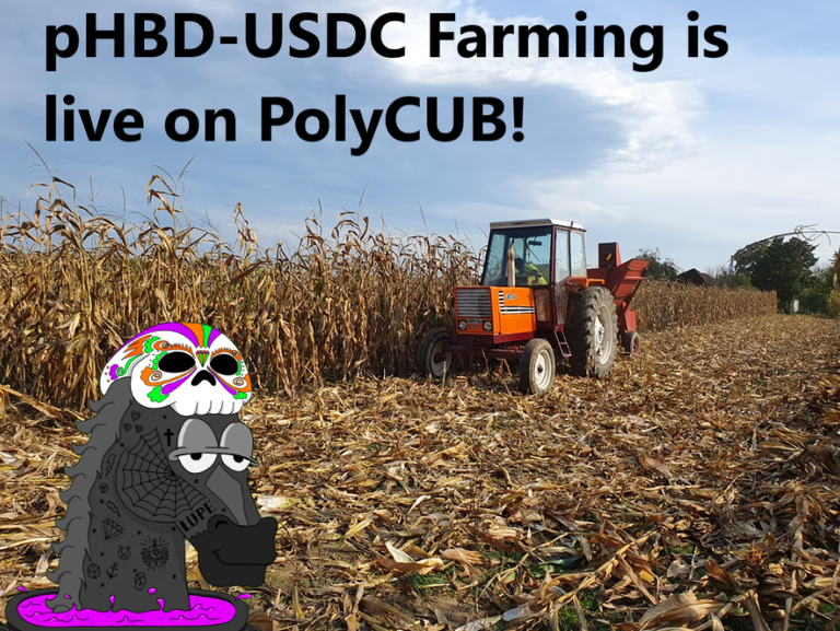 How to Bridge and Farm pHBD-USDC at 77% APY on PolyCUB