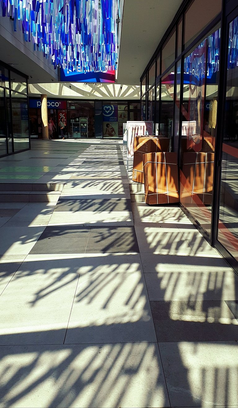 20250718_093449.jpg
