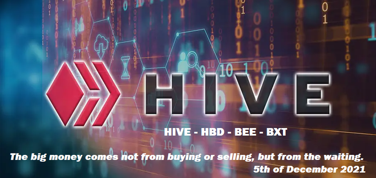 Main Hive Investment Portfolio - News and Progress Report on 5th of December 2021