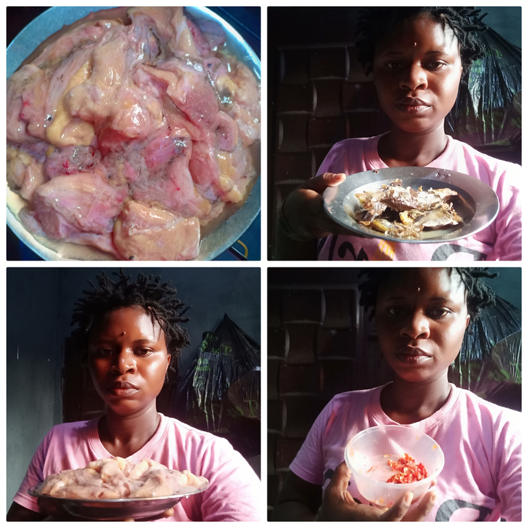 Collage 2025-06-15 14-08-43.png