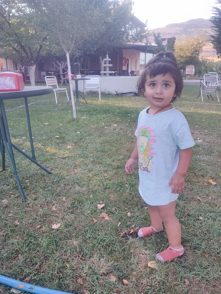 083100fe-3d59-4fa3-b9c2-fd247fd0b9f0.jpeg