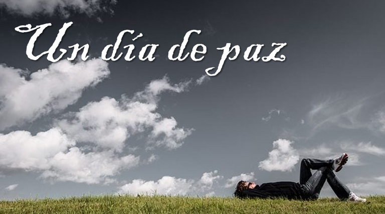 imagen.png