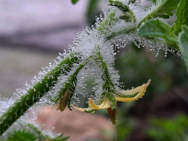 IMG_9652562.JPG