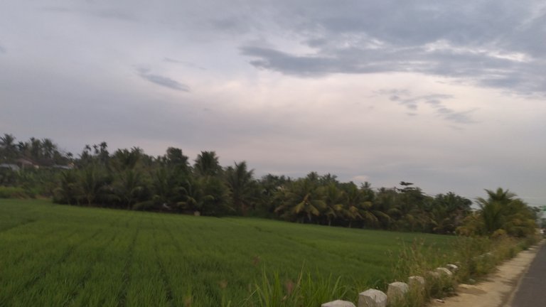 20240310_065646.jpg
