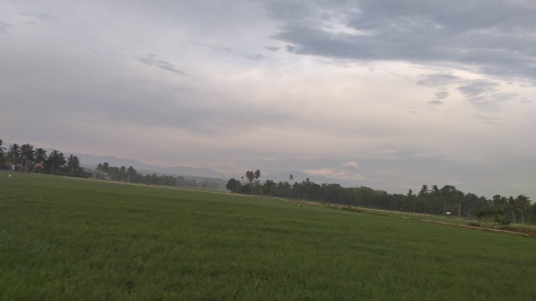 20240310_070111.jpg