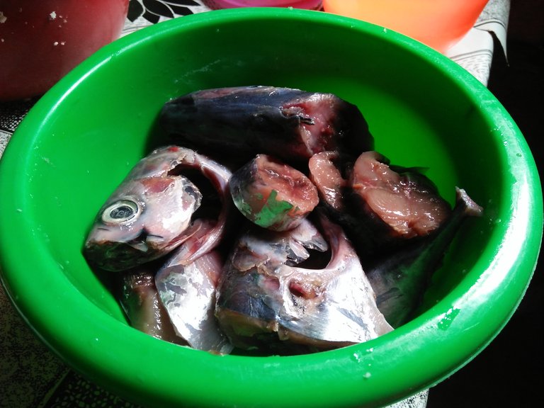 IMG20250127120253.jpg