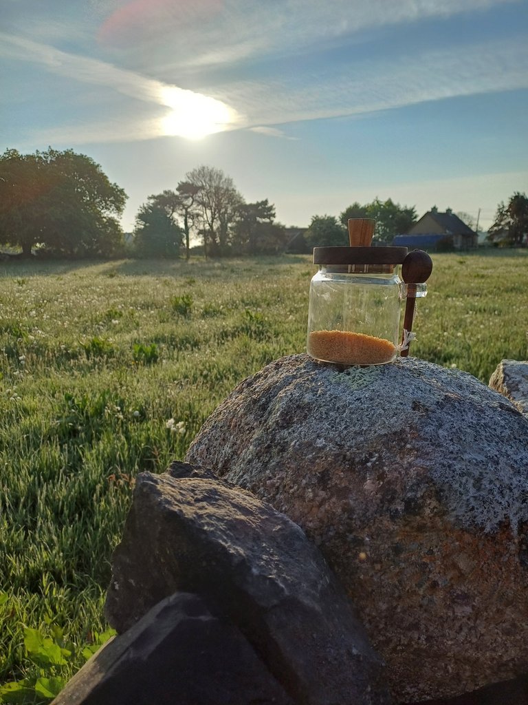  "20250511_071713.jpg"