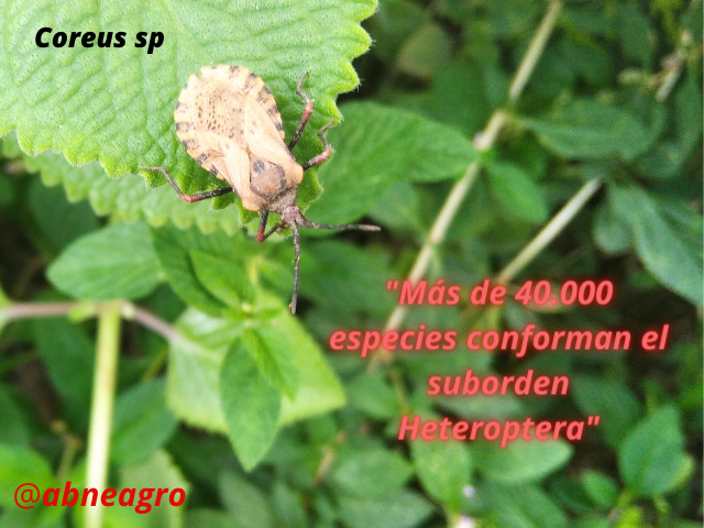 Agregar un título(1).png