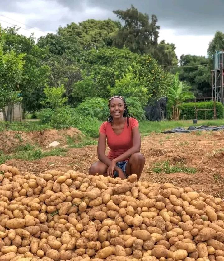 "A farmers joy lies in the soil" 