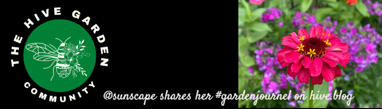 banner-zinnia.png