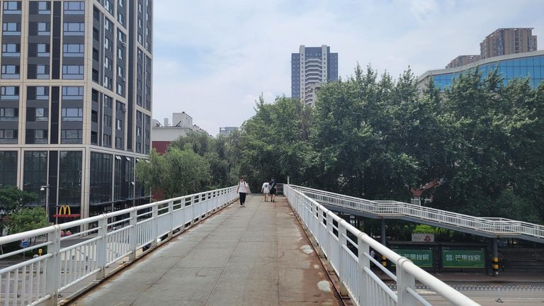 20250726_113931.jpg