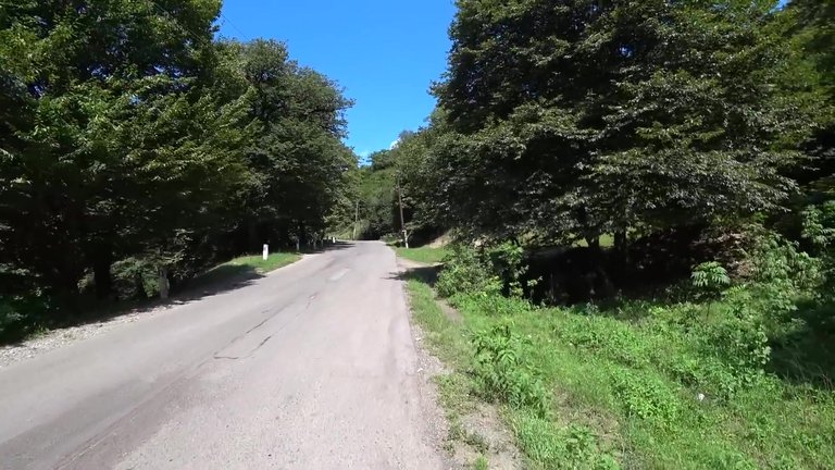 143.jpg