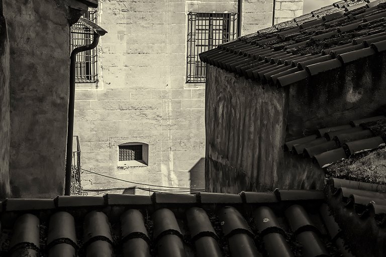 DSC_9167.jpg