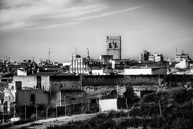 DSC_3493.jpg