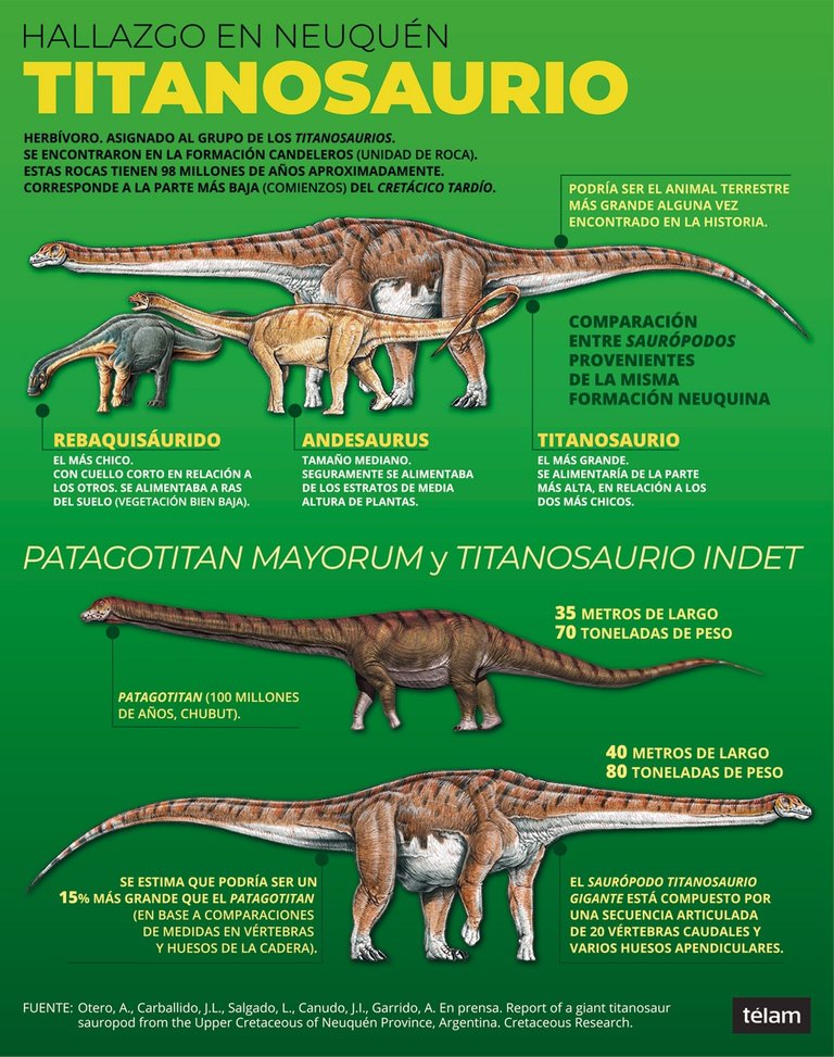 29.-Titanosaurio-infografia-Telam.jpg