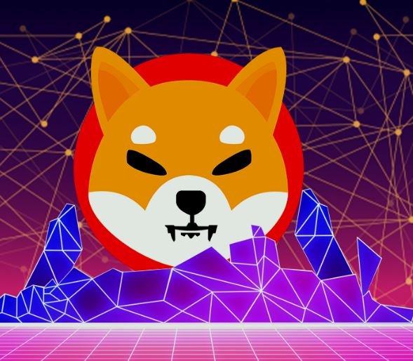 shibainu2.jpg