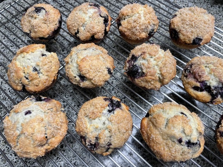 blueberry-muffins-10.jpg