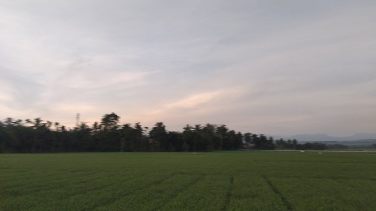 20240304_065330.jpg