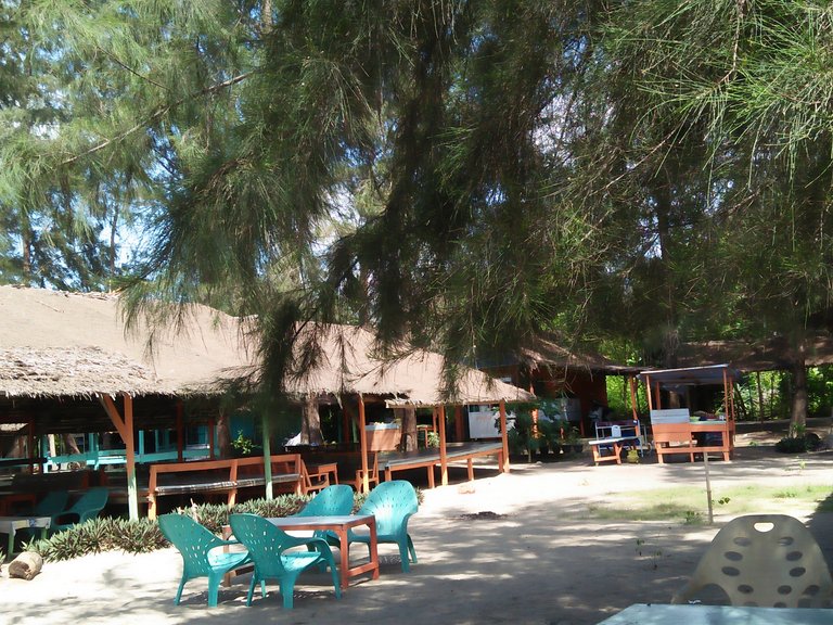 IMG20250427142416.jpg