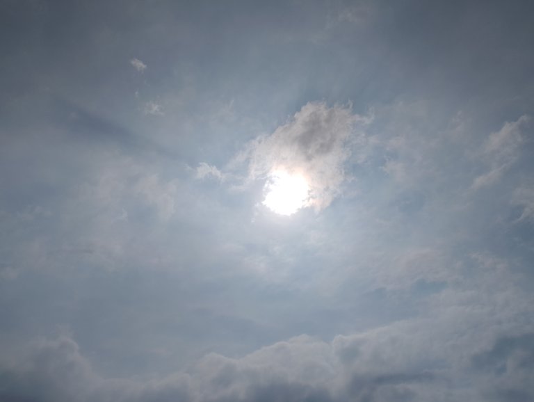 IMG_20250706_153237.jpg