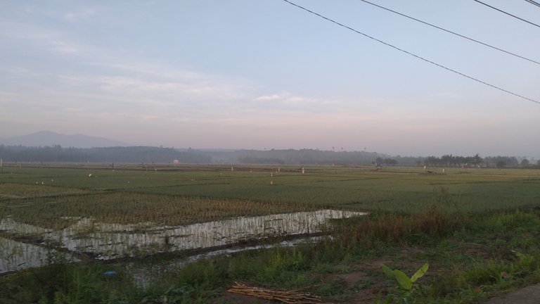 20240313_070102.jpg