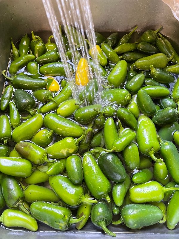 foodiesbeehive-jalapeno-1 (1).jpg