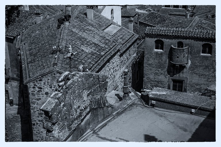 DSC_1975.jpg