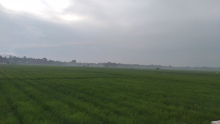 20240310_065928.jpg