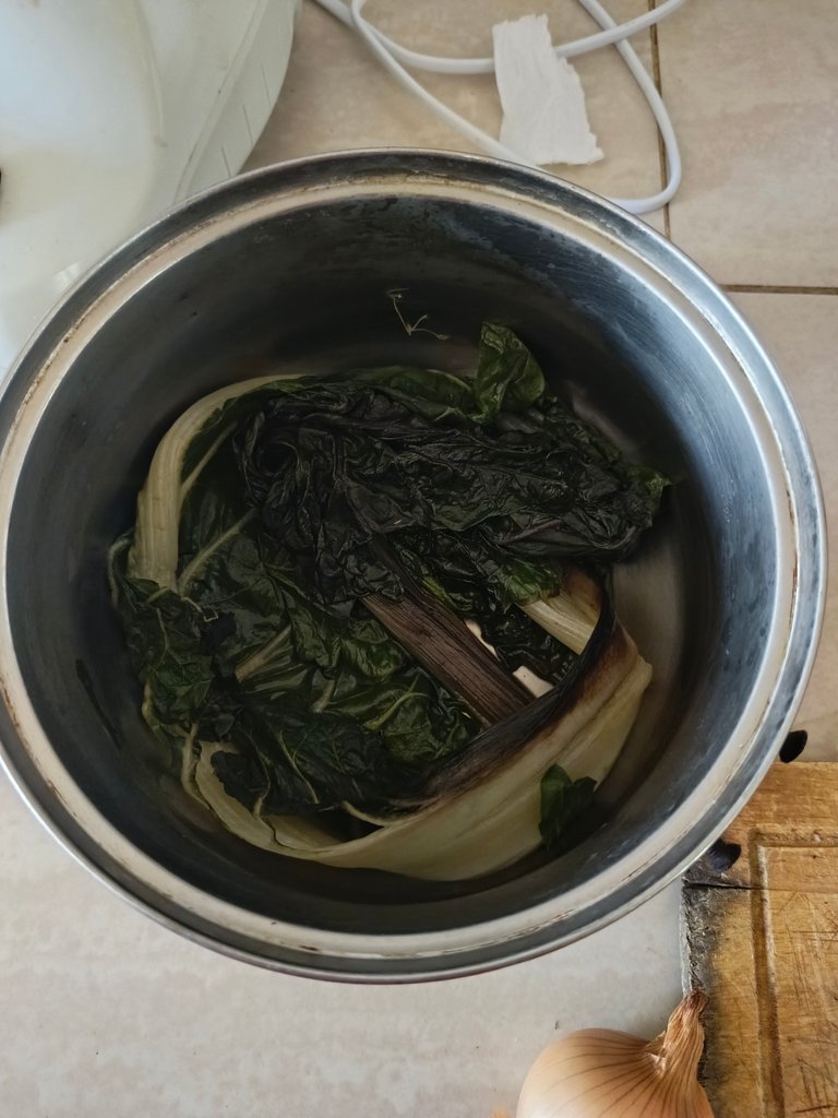 1000031831.jpg