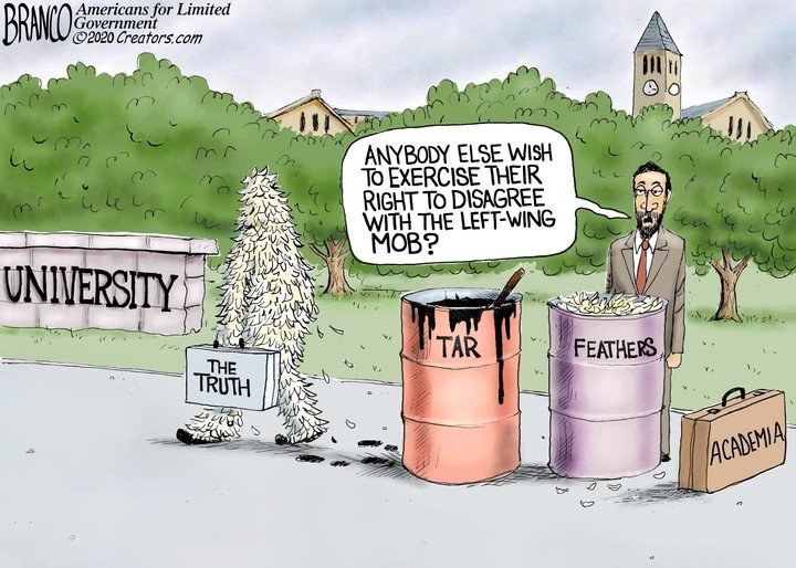 academiaof 2020s.jpg
