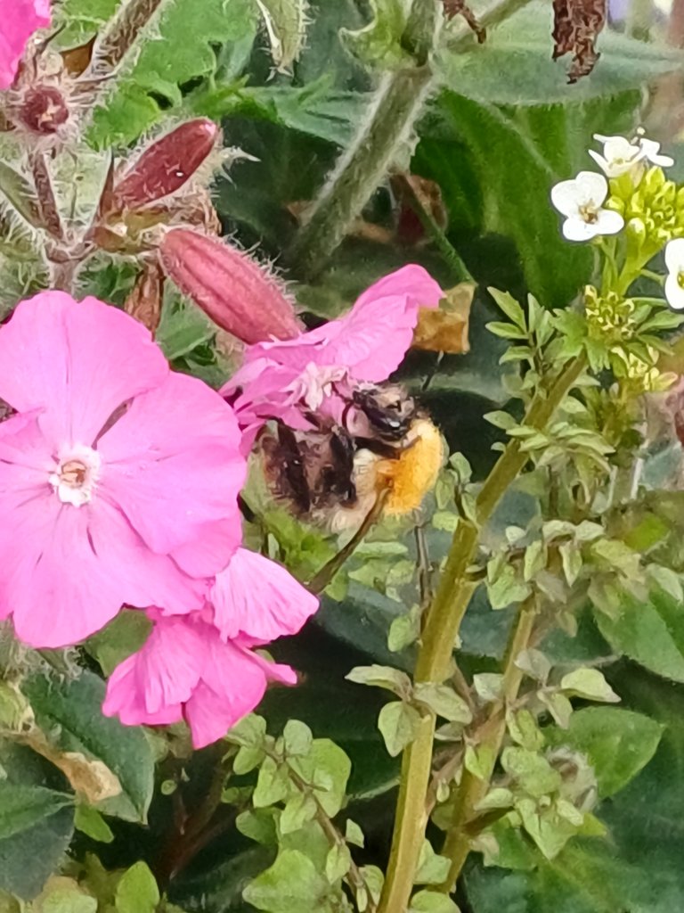 20250530_084309.jpg