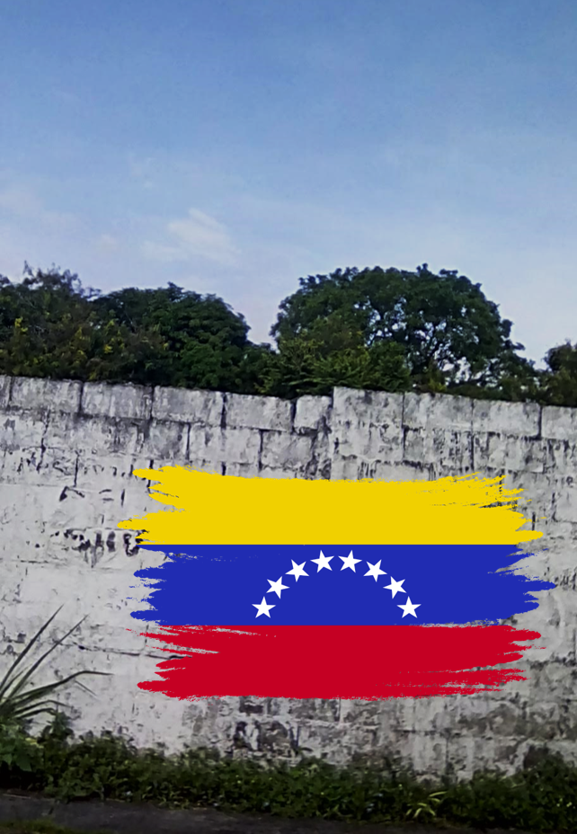 Pared y bandera.png