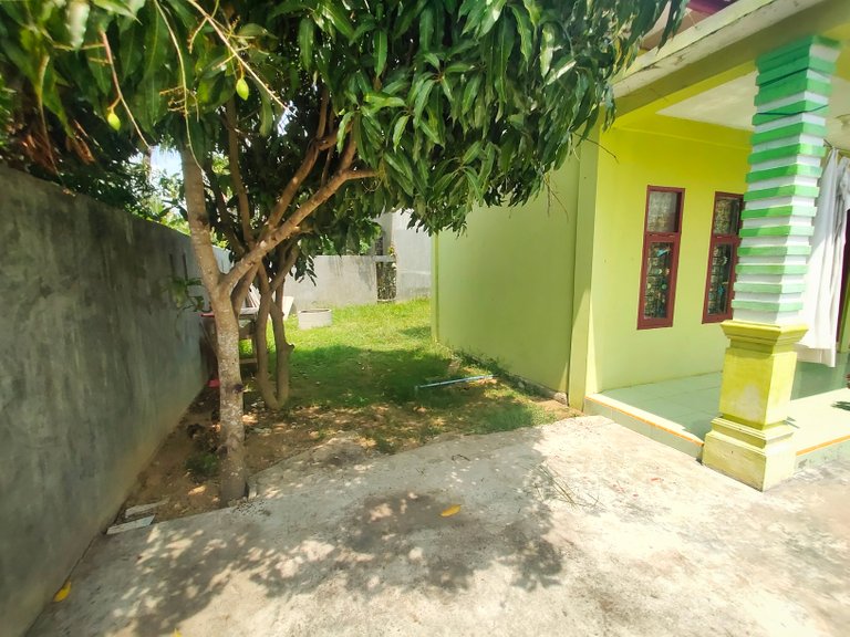 image 10.jpeg