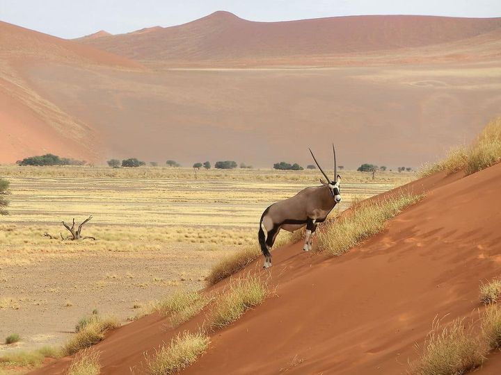 📍Namibia🇳🇦