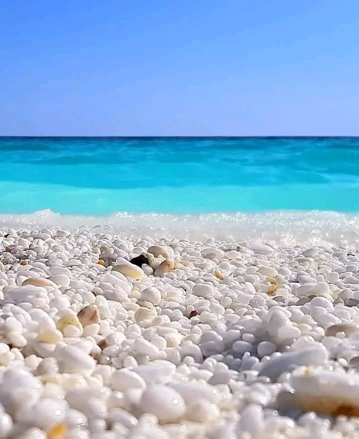 1705493933092.jpg