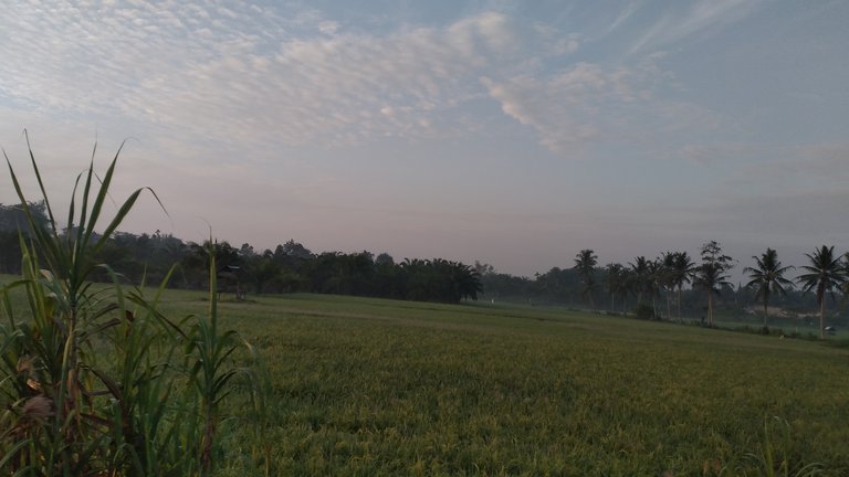 20240317_065916.jpg