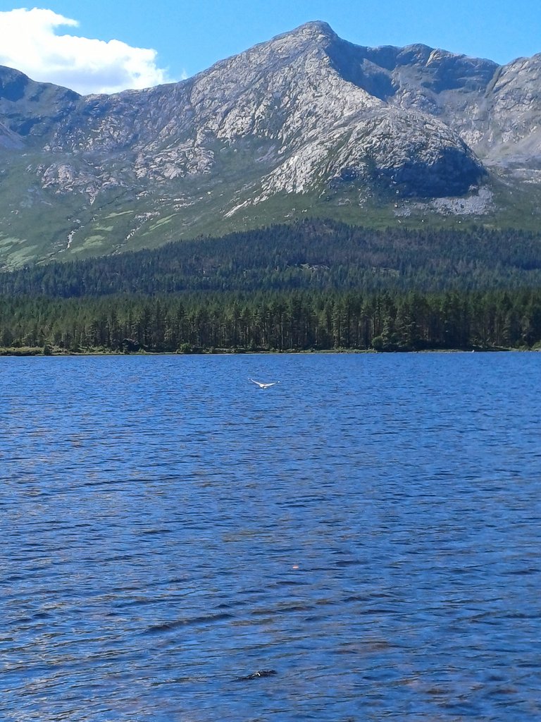 20250518_143708.jpg