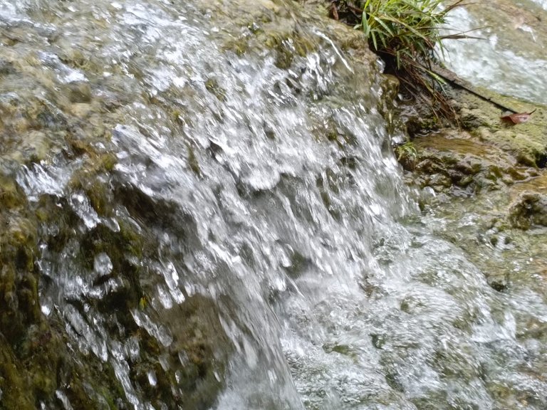 IMG-20250723-WA0010.jpg