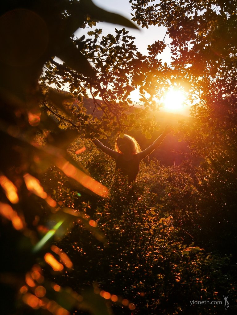 oak solstice - by priscilla Hernandez (yidneth.com) - Priscilla Hernandez.jpg