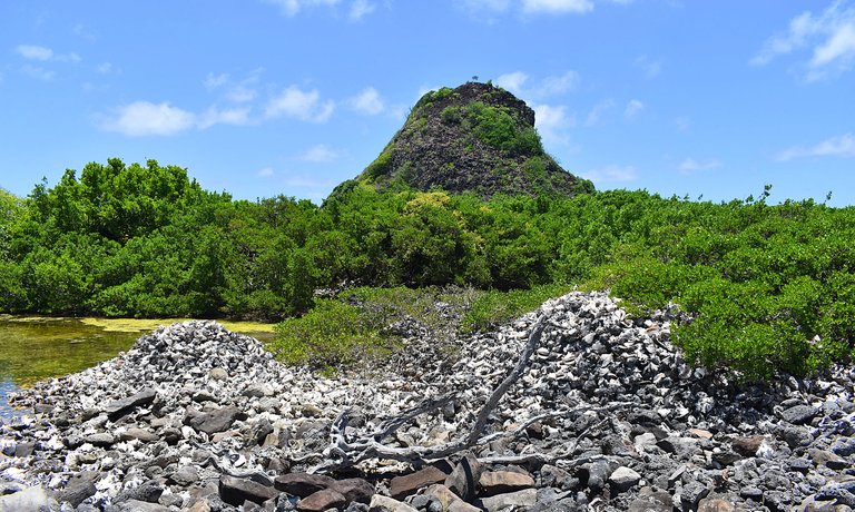 Carriacou-16.jpg